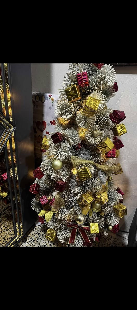 سجره زينه سعر ٤٥


**إذا كنت صاحب هذا الإعلان وتريد حذفه لأي سبب، رجاءا أرسل رسالة إلى الدعم الفني**