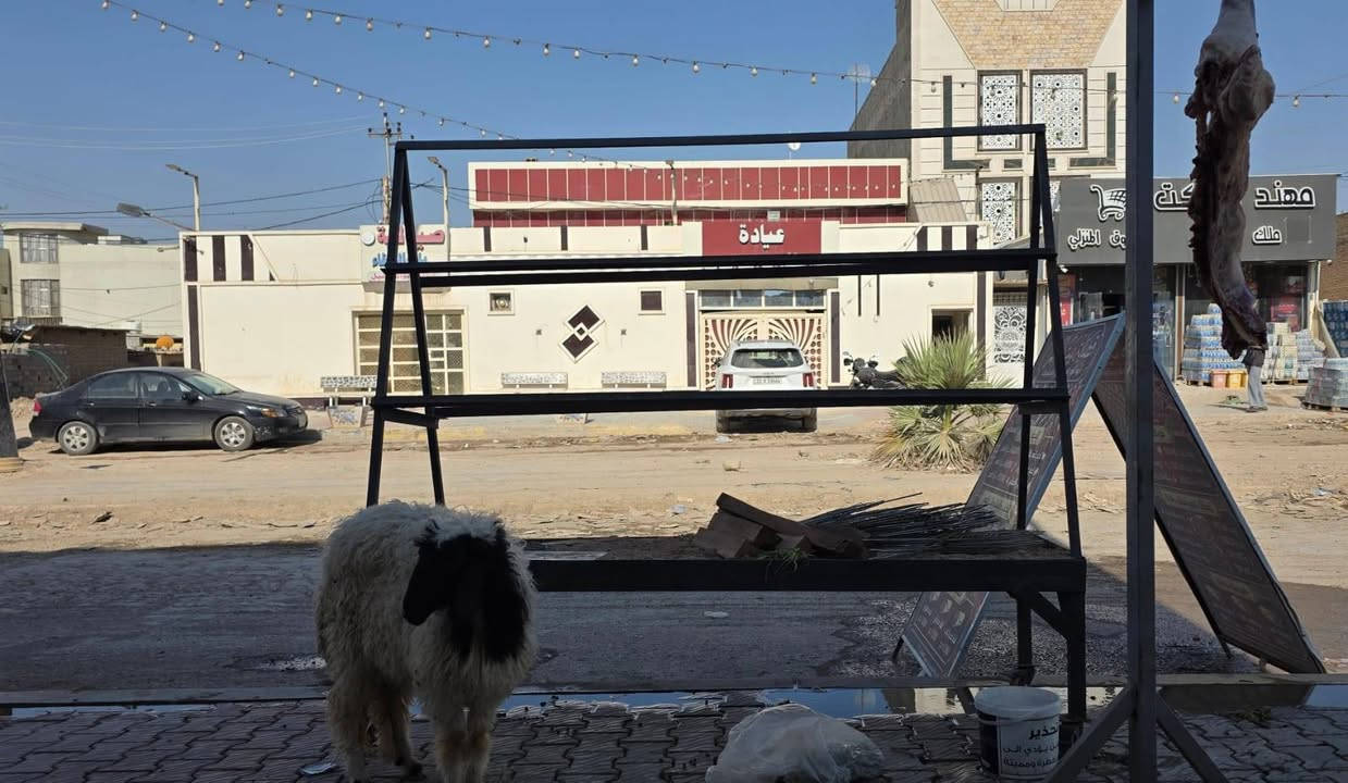 تم توصيل طلبات ومستعدين لتوصيل كافه طلباتكم


**إذا كنت صاحب هذا الإعلان وتريد حذفه لأي سبب، رجاءا أرسل رسالة إلى الدعم الفني**
