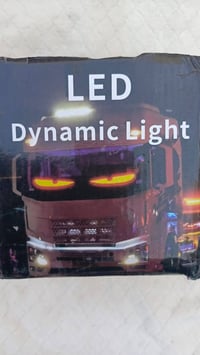 نشرة ام عيون • قطتين