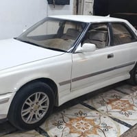 شيزر • ١٩٩١ • الزبير