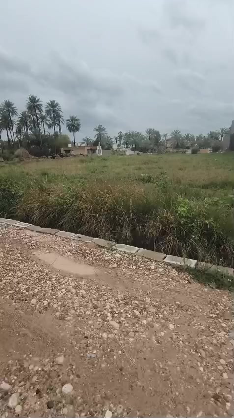 قطع1500م دونم تجارية خلف الجملون قرب غسل الاحيمرمقابل جملونات اپو كامل***********
