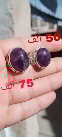 محبس • جمشت أفريقي طبيعي • قياس 20-21/15-16