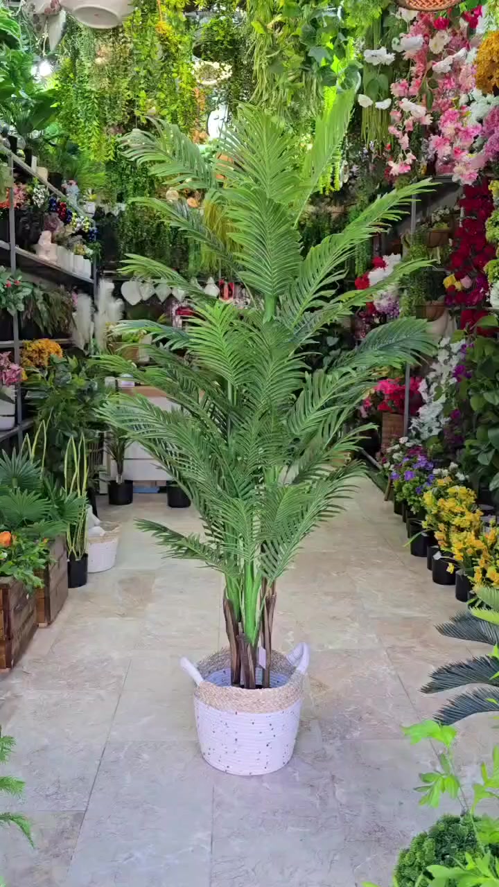 السلام عليكم محل لبيع الورد والاشجار الصناعيه مشابهه الطبيعي كوت الكفاءات شارع  رقم الهاتف ***********
