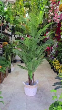 محل ورد • اشجار صناعية • كوت الكفاءات