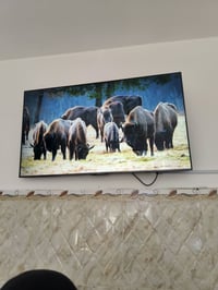 TCL • ٦٥ بوصه • QLED 4K