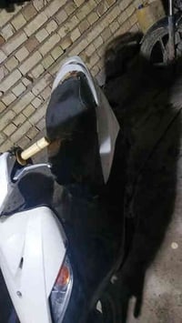 ماكس ثعلب نضافه 70% شلعه ومعدل فول. نكره سلف الكهربائيات كلها شغاله. ب...