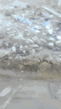 شارع المشروع • ٣٠٠م • ٤غرف