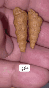 ابو حسنين الياسري ***********
