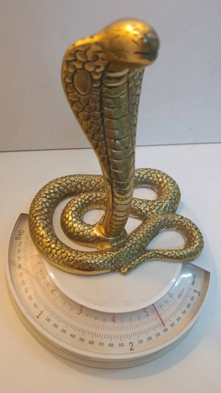 كوبرا نحاس
جدا ثقيلة
سعرها مع التوصيل 75 الف


**إذا كنت صاحب هذا الإعلان وتريد حذفه لأي سبب، رجاءا أرسل رسالة إلى الدعم الفني**