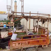 ستوتة • مخضر • للبيع