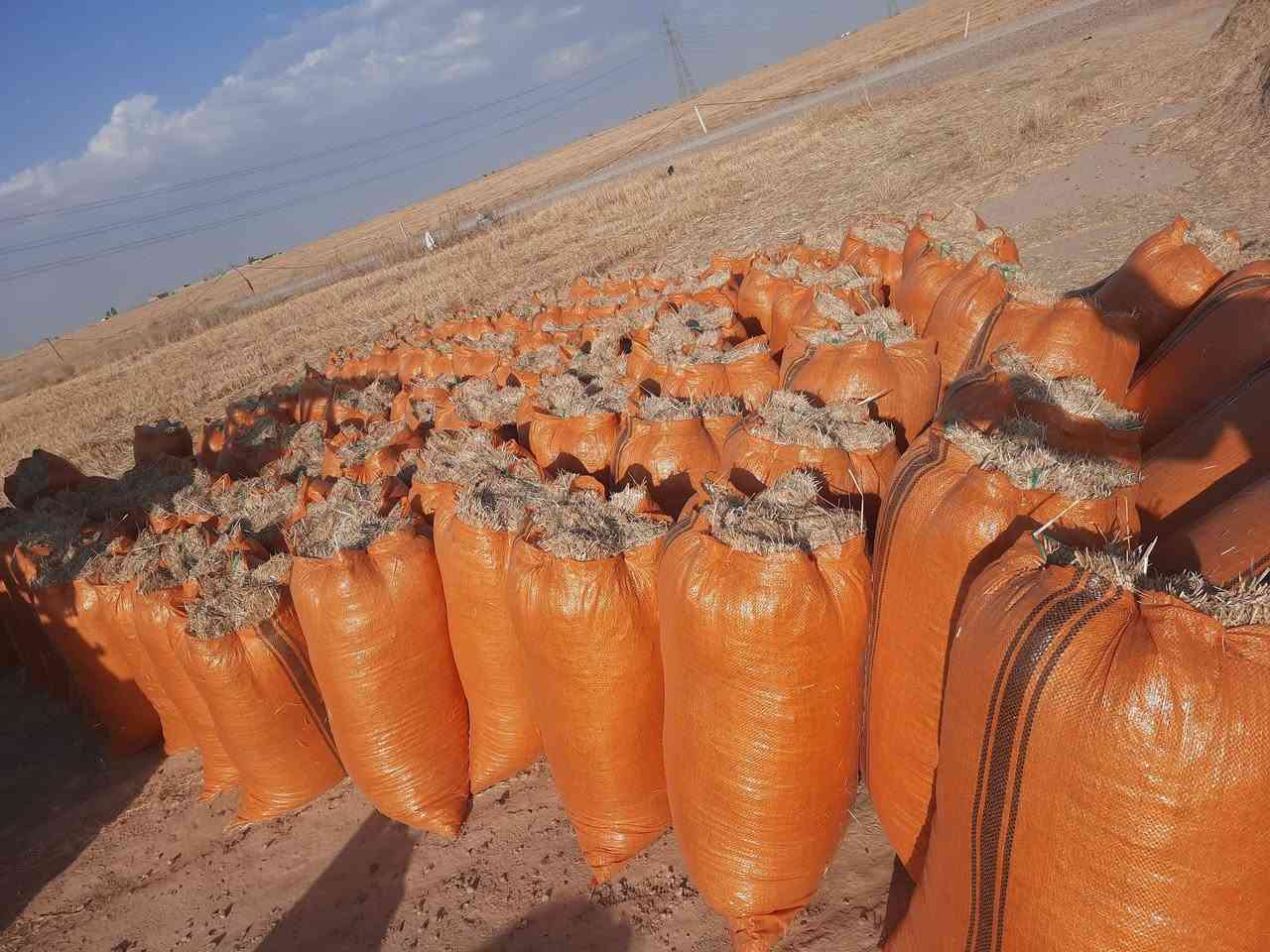 يوجد تبن درجة اولى تبن مال السنة تبن نظيف فول ترس درجة اولى الزوج 2500بل مكان يوجد خدمة توصيل لجميع المحافظات***********
