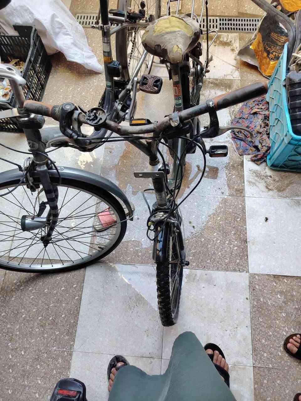 بايسكلات للبيع اثنينهن ب25 شط العرب, البصرة


**إذا كنت صاحب هذا الإعلان وتريد حذفه لأي سبب، رجاءا أرسل رسالة إلى الدعم الفني**