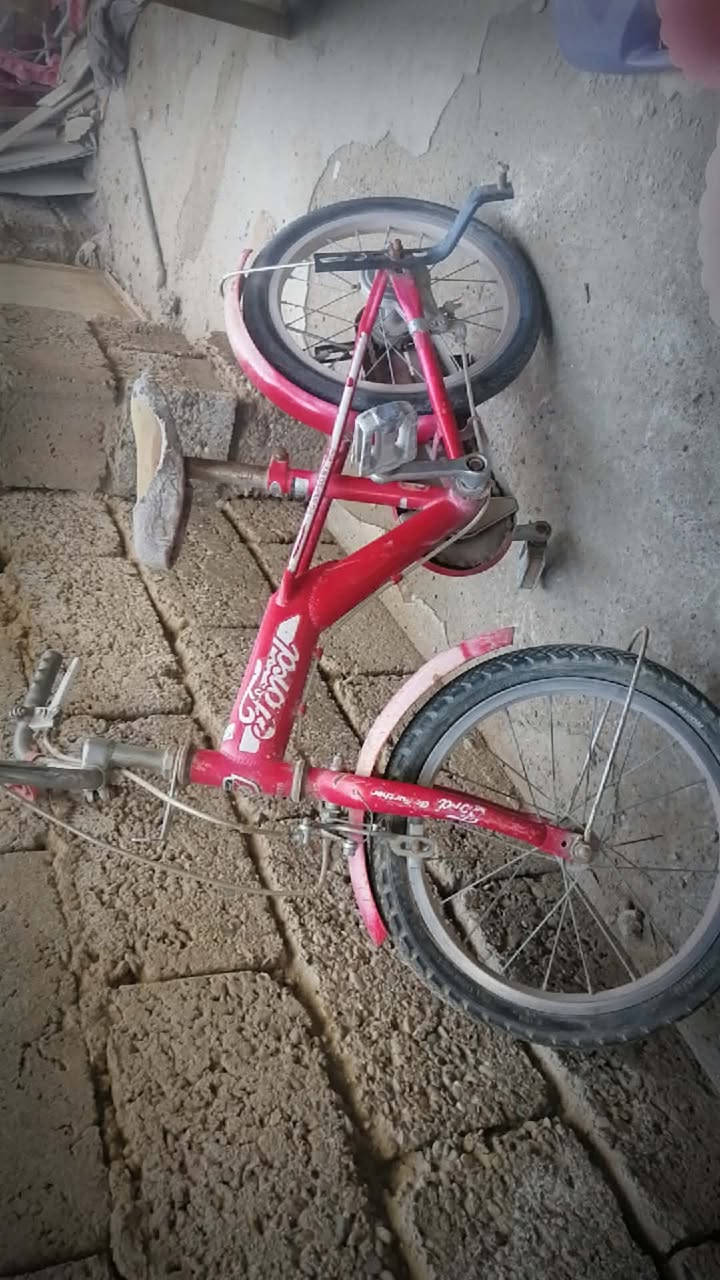 السلام عليكم
اغراض للبيع

الطباخ سعره ب90

بايسكل السعر ب40

مكنسة السعر ب25

العنوان/ بعقوبة-جرف الملح


**إذا كنت صاحب هذا الإعلان وتريد حذفه لأي سبب، رجاءا أرسل رسالة إلى الدعم الفني**