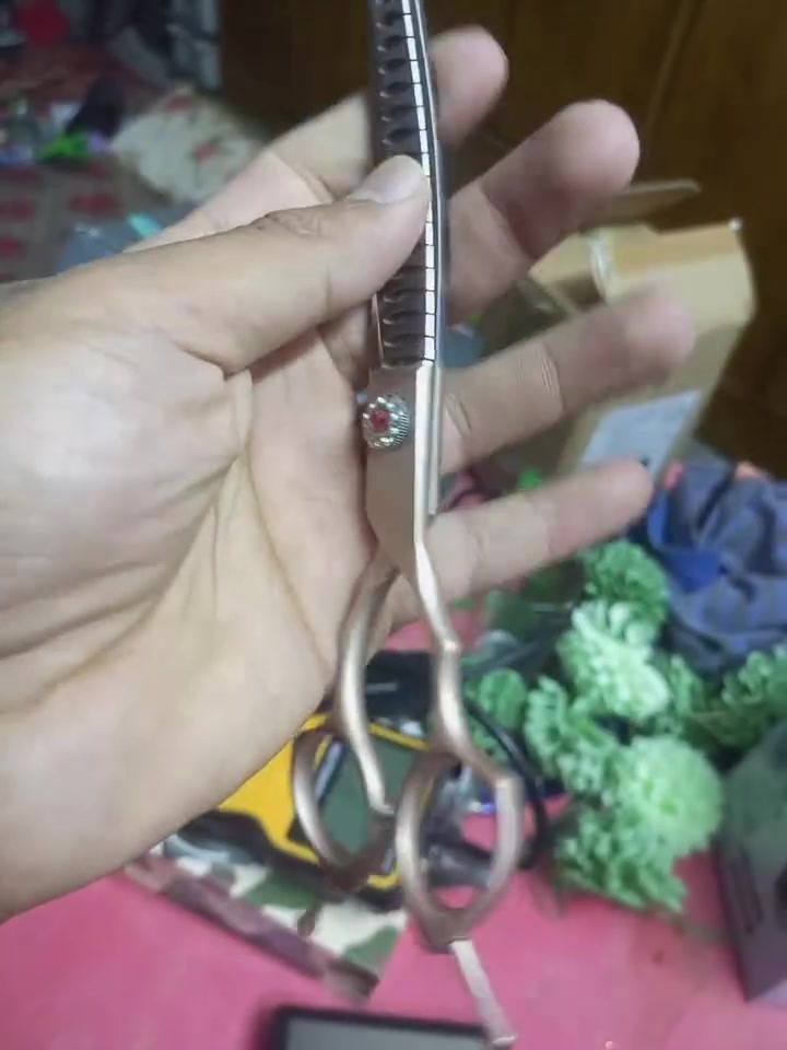 مكص اصلي ابو الشذره سعر ٨


**إذا كنت صاحب هذا الإعلان وتريد حذفه لأي سبب، رجاءا أرسل رسالة إلى الدعم الفني**
