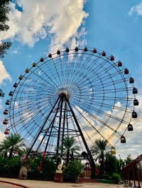 كربلاء المقدسة • الدخول مجاني • تفتح ١٢ ظهراً