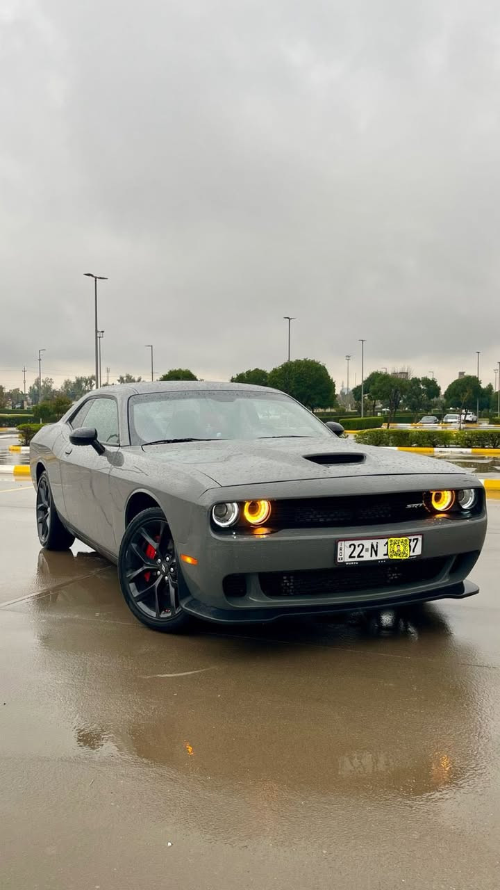 السلام عليكم
دودج جالنجر • 

الموديل • 2023

اللون : سمنتي 

المواصفات • SXT 

مشي السياره ما يقارب 20,000 • 

حساسات • 

رادارات  • 

اناره اماميه و خلفيه •

سستم هگزوز • 

هگزوز ينفتح و ينسد بـ ريموت • 

ويل كاب كبير • 

داخل احمر • 

تحكمات ستيرن • 

مثبت سرعه • 

شاشه كبيره • 

تدعم نظام ألابل كار بلاي• 

و الاندرويد أوتو • 

كشن جلد • 

كشن كهربائي • 

هاند بريك رجل • 

الخ•••••

السياره مرقم اربيل • 

حادث السياره • ضرر السياره جداً بسيط •

الجاملغ مع حافه البونيد بس البونيد مبدل مال GT 
و الجاملغ صبغ • 

مكان السياره • اربيل • طريق مخمور • مدينه المعارض • معرض منذر الدليمي • 

للتواصل عبر الواتساب • *********** • 📞
