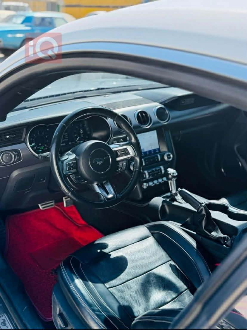 موستانگ ٢٠٢٠  فول مواسه فات يادى ٥٠ ساله كيچ ئه ليكترؤنى  پريميوم 
كوشين سارد و گه رم  خه زن  ٣ پارچه و نيو  سبوغ هه موو شتيكى به شه رت يه ك دينار مه سروفى نيه أربيل, العراق


**إذا كنت صاحب هذا الإعلان وتريد حذفه لأي سبب، رجاءا أرسل رسالة إلى الدعم الفني**