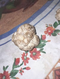 ديكور • السعر بالمكالمة • غير محدد