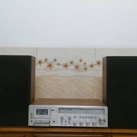 مسجل رايزانك • موديل الثمانينات • شغال