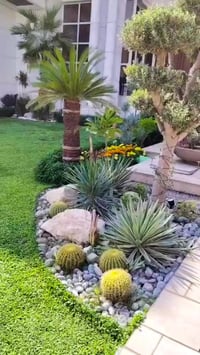 تصميم حدائق • عناية بالحدائق • اشراف هندسي