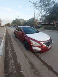 التيما • ٢٠١٦ • وارد امريكي