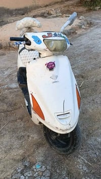 فراشة • تواير جدد • سلف