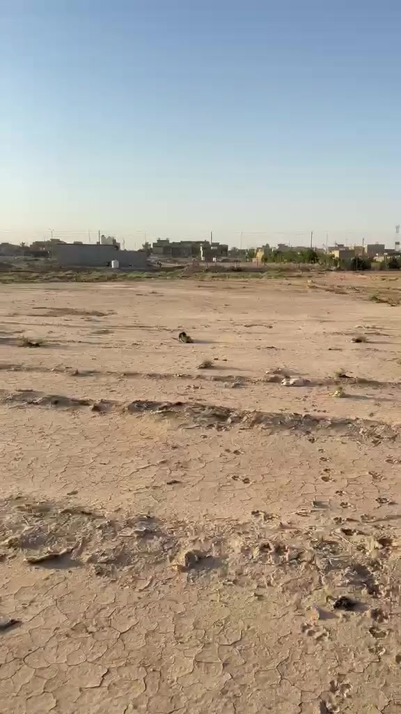 السلام عليكم يوجد لدينا كاع دونمن خط الثاني رقمي***********
