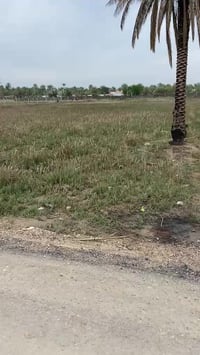 المدائن بغداد • دونم • طابو زراعي