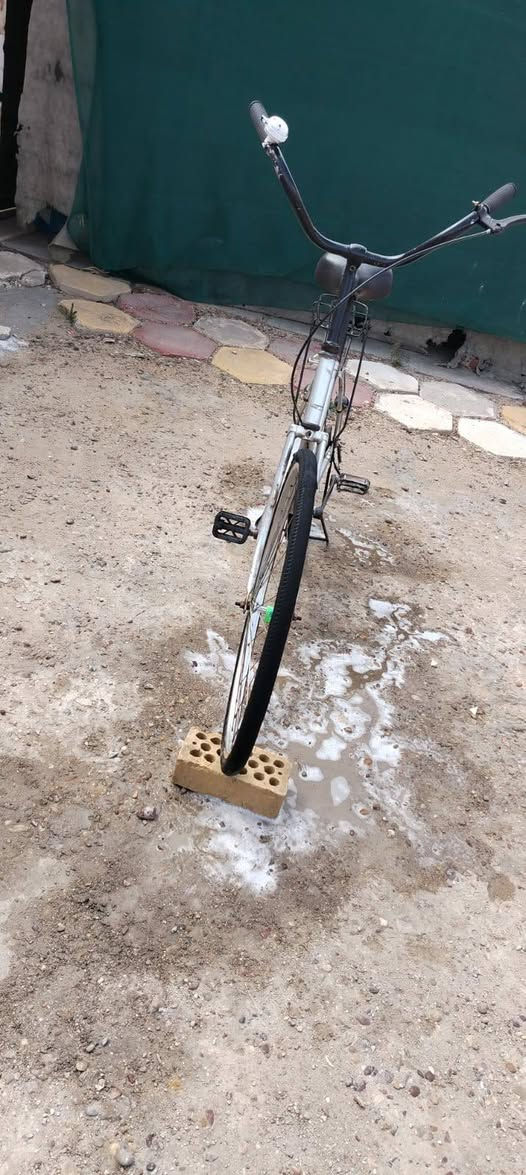 سلام عليكم شلونك شباب عندي بسكل البيع ومروس بلدي ماصبخ جملغات ويه البسكل حلو المو شري اليتعبني السعر خاص العنوان المشخاب


**إذا كنت صاحب هذا الإعلان وتريد حذفه لأي سبب، رجاءا أرسل رسالة إلى الدعم الفني**