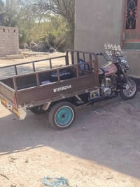 ستوته • MTR • اوراق ناشفه