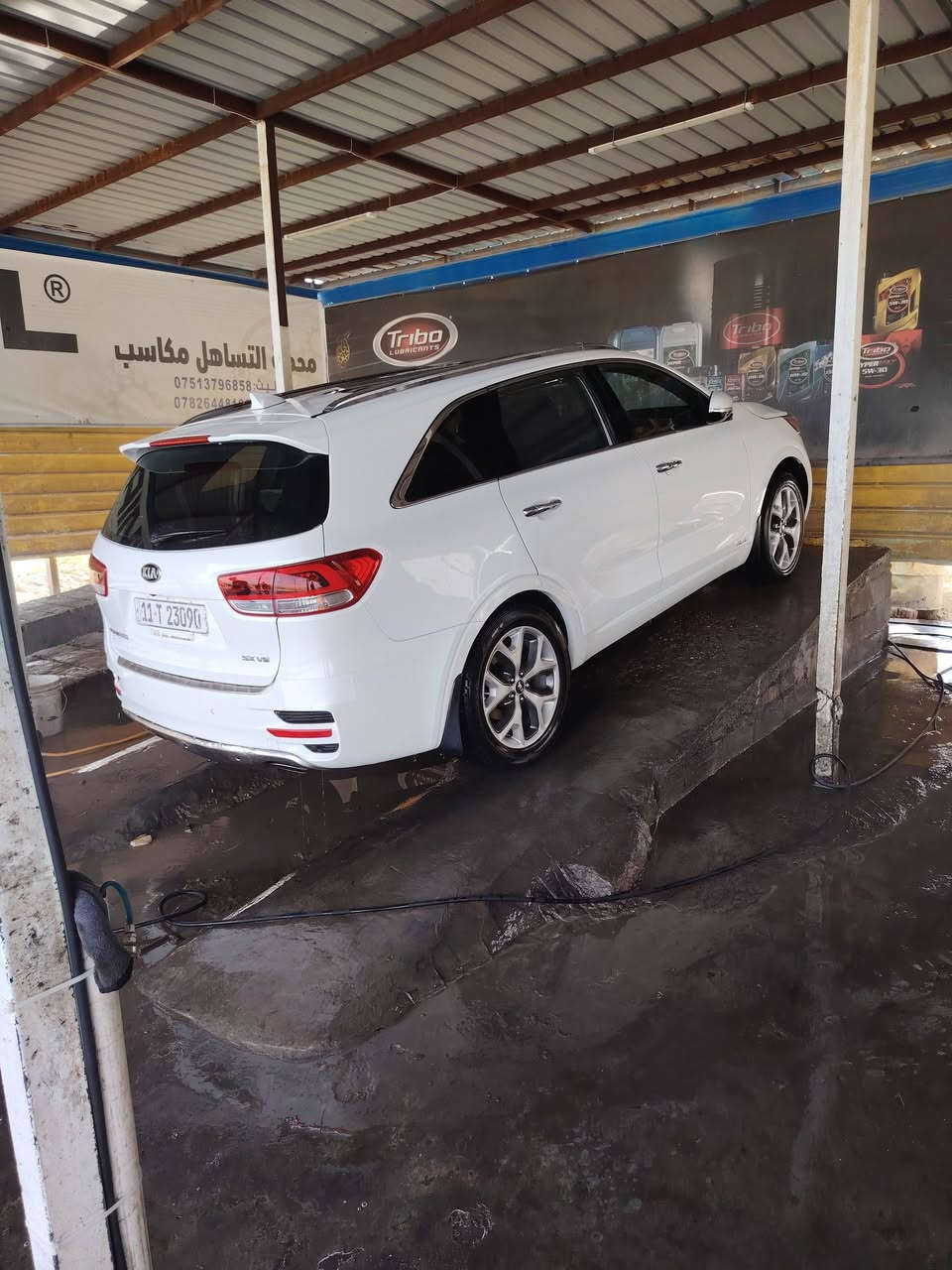 2016 للبيع فول 1على1 ***********
