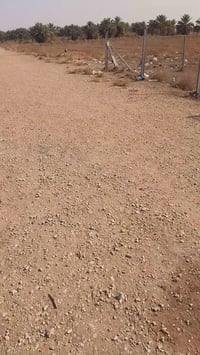 الدونم للبيع العنوان المسيب طريق ابو الجاسم حي المهندسين سند 25 زراعي ...