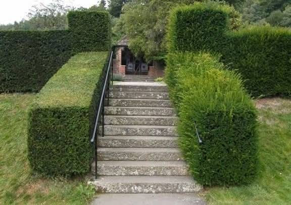 بەلاش بەلاش داری مۆرد سروشتی هەڵبژێرە 1000دینار  
مەیکرە بە 5هەزار  لای ئێمە 1هەزار 

سەیدسادق نزیک پردی قەرزاران یان نزیک مرگەوتی ئەبوبەکری سدیق


**إذا كنت صاحب هذا الإعلان وتريد حذفه لأي سبب، رجاءا أرسل رسالة إلى الدعم الفني**