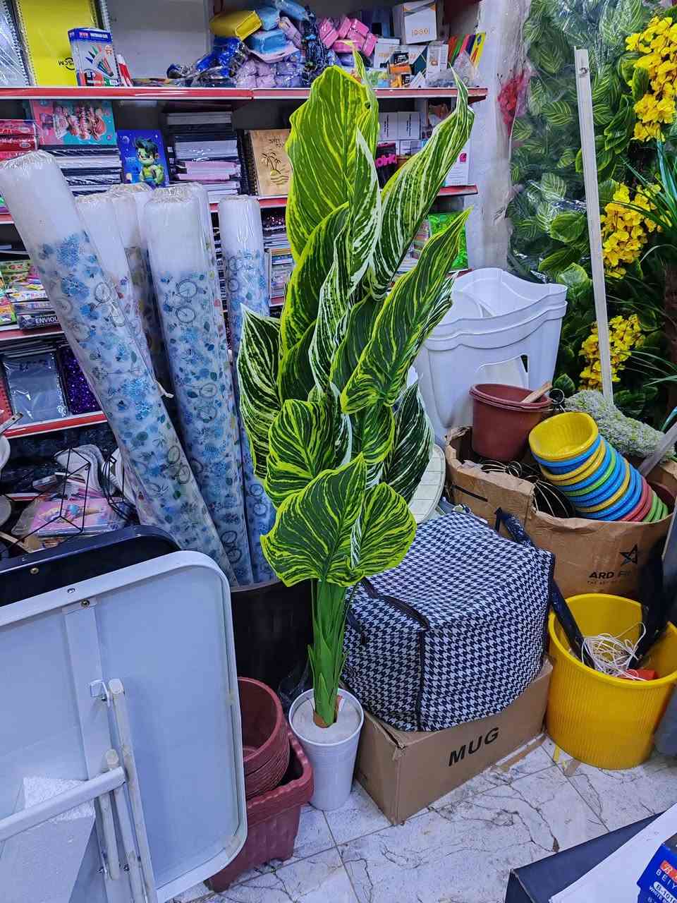 اللهم صلي على محمد وعلة ال محمد

العنوان الرميثة مقابل تقاطع سوك العصري مجاور ال عارف اهل المخضر قرب شارع السبيس قرب شارع المحافظة القديم

***********
