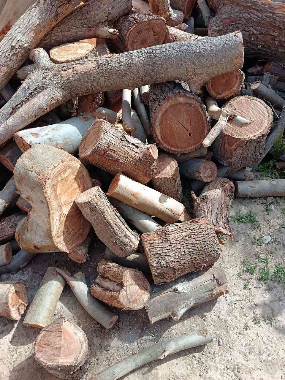 حطب خشن للبيع


**إذا كنت صاحب هذا الإعلان وتريد حذفه لأي سبب، رجاءا أرسل رسالة إلى الدعم الفني**