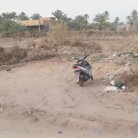 كربلاء طويريج الرجيبه • ٢٠٠م • طابو زراعي سند ٢٥