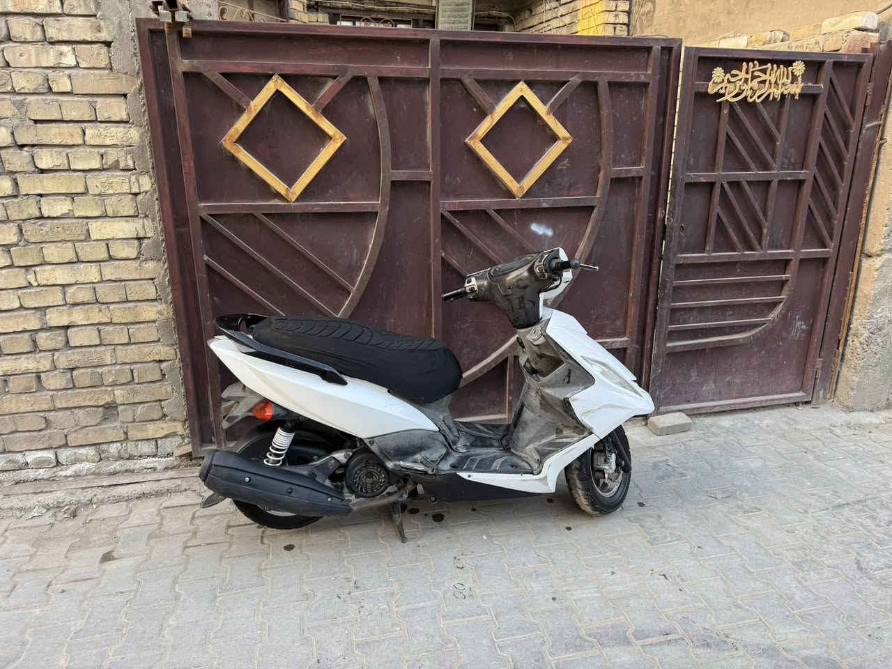 مراوس بسكنس جبلي شعندك نزل ***********
