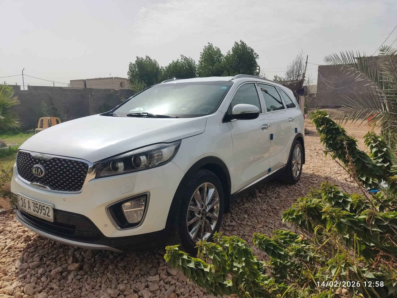 كيا سورنتو بأسمي رقم قادسيه 
سنويه جديده 
هزه جديده 
المواصفات 
خليجي 
6 سلندر 
7 راكب 
كشن كهربائي 
جنطه كهربائي 
 ويل كب كروم 
تبريد 3 قطع 
برد بلادي 
تحكم ستيرن جهتين
تشغيل بصمه 
حداديه جديده محرك ما مفتوح مواصفات فول ماعدا الفتحه السياره جديده والواقع احلى من الصور 
مكاني ديوانيه قضاء الشاميه 
السعر 228 وبيها مجال بسيط
فقط الشراي يتصل ***********
