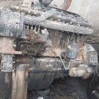 بومه قبق • بلاستك • استندر اوربيه