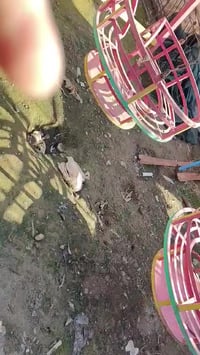 ألعاب أطفال • حي عدن • داريه ديادي