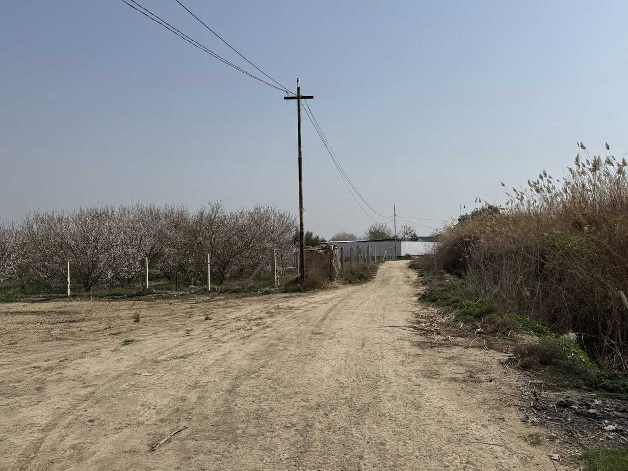 على بركة الله 
 أرض زراعية للبيع  

 #سند 25 تحويل مباشر بأسم المشتري

#مساحه  //  2دونم 

#الموقع  بلد قرب مرقد السيد محمد ع مدخل 2 
#ماء كهرباء 

تصلح #مزرعه او #سكن او #استثمار 

 #ملاحظه 

1. لدينا عروض كثيره وبمختلف المساحات
 للاستفسار عن السعر والتفاصيل الاخرى  الاتصال على الأرقام التاليه 
***********واتساب
***********
***********
