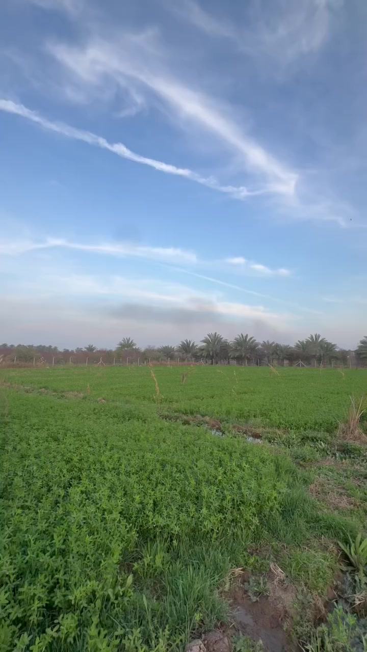 السلام عليكم دونم للبيع 
طابو ملك صرف المدائن قرب شارع سيد علي 
واجهه الدونم 44 
عله شارعين للاستفسار الاتصال ***********
