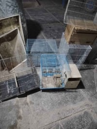 انواع الاحجام • ٨ قطع • شطرة