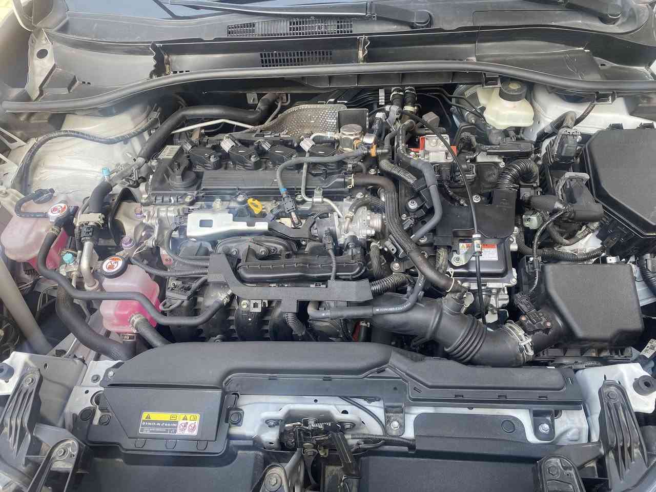 كورلا كروس 2025
كامل موصفات
محرك 2000
العلامة السوده
فتحة 
ماشيه 1100 تقريباً 
السعر 185 ورقه
‏رقم التواصل ***********
