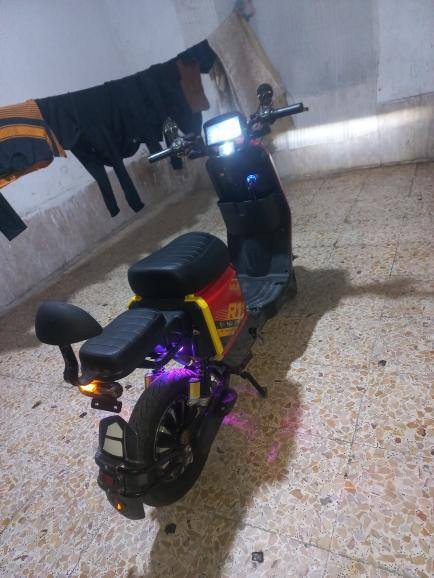 سلام عليكم شباب مستعجل علا لبي
دراجه ار11 جديده كلش تجب وشوف 

بطاريات 33 جدد ملف 2000

ومزوده مدكر رياضي وزنون بومه جدد

يدات بريك رياضيات وبيهن دبل اشاير

العنوان البصره قبله حي جامعه  لتواصل رقم *********** يوجد واتساب
