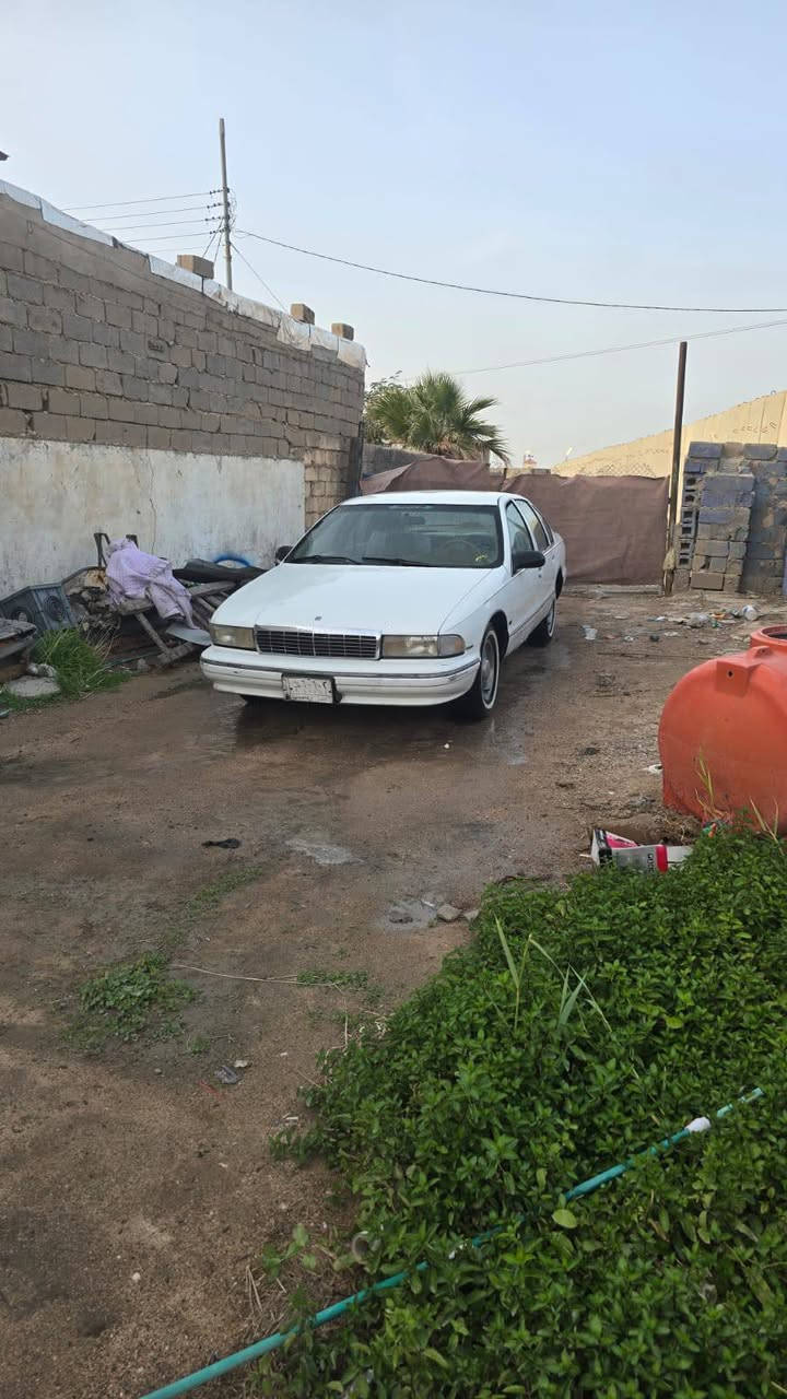 للبيع دولفين مجول موديل 95 سياره كير مكينه حداديه كفاله السياره ابيعلك بدون راعي وابيعلك كوم حديد اكفلها الك سرقه وعشاير سياره نضيفه شوف العين للستفسار ع الرقم *********** رجاء الموشراي لا يتصل سعرها 27 وبيها مجال
