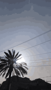 للبيع الانترا موديل 2019 السياره كفاله من كلشي بدون ارباك فقط بنيد وصور الحادث مرفقه كير مكينه حداديه منظومه زنون جاهزه ع الاخر سنويه ما صاقطه تريد وكاله او تحويل مكان السياره ب الحله السعر 135الاتصال ***********
