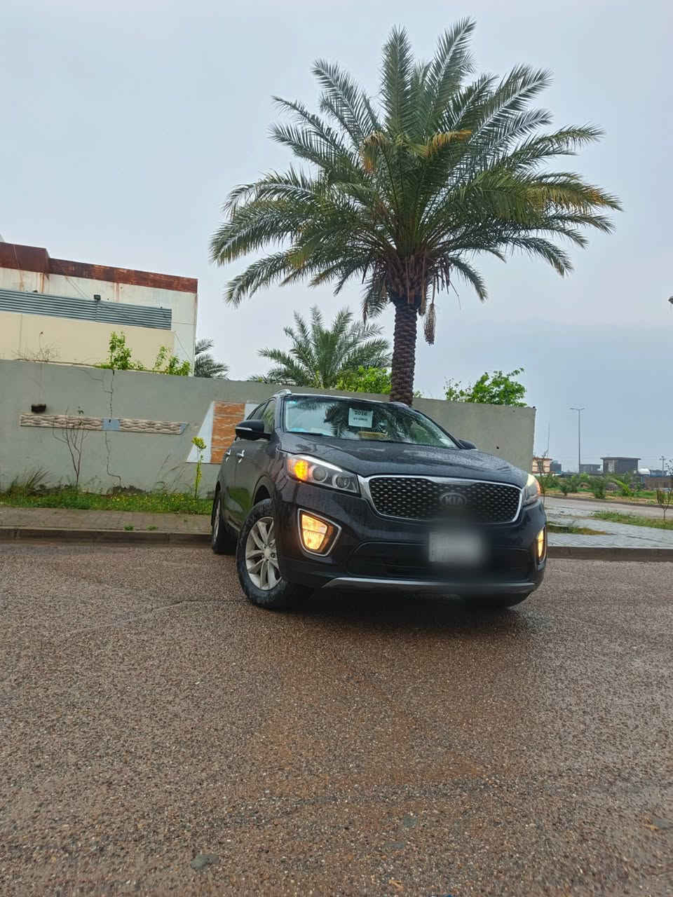 السلام عليكم
✅ سورنتو  للبيع 
✅موديل 2016 
✅سياره مواصفات عاديه  
✅ رقم بغداد  
✅ شاشه كبيره كامره 
✅ اربعه 4 سلندر 5 راكب 
✅ سياره كفاله عامه من تبديل و الصبغ   
✅ سياره بيه ملاحضات و شخط حك شبر بالباب الامامي 
✅ سعر 174 وبيه مجال حك الجيه  

📍العنوان الانبار 
الاستفسار عبر الارقام الاتيه 
***********
