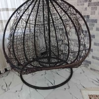 ديدية • عش العصفور • حجم كبير