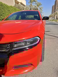 جارجر • ٦٠ ورقه • كربلاء الحر